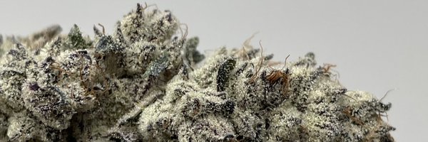 maxyieldz Profile Banner