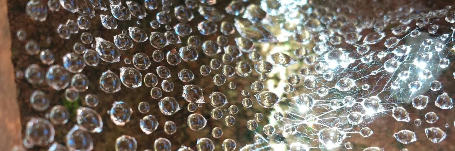 Nestor Angulo de Ugarte banner