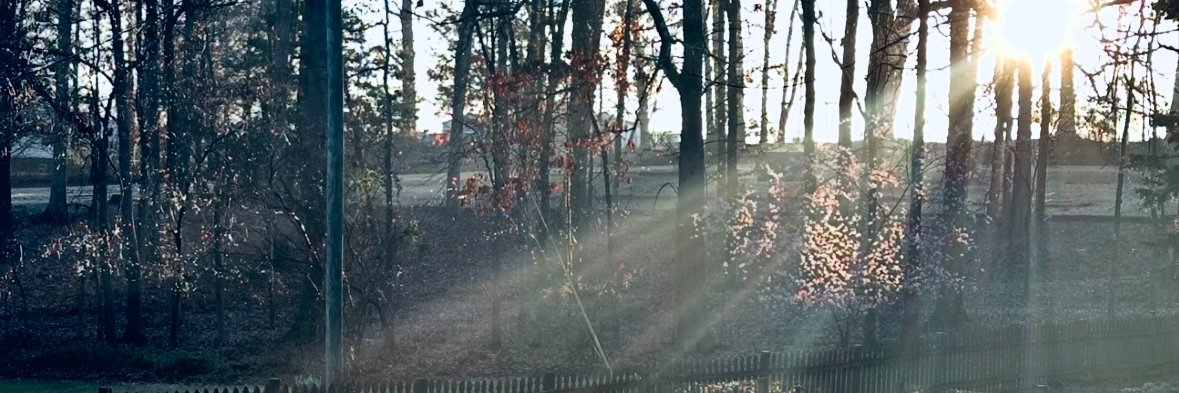 Gutierrezson Jennaelle 🌸🦋 banner