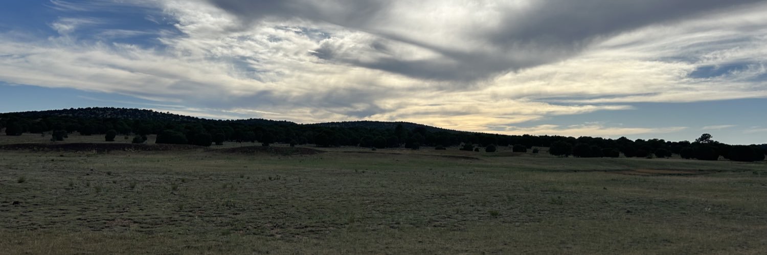 gritx426 banner
