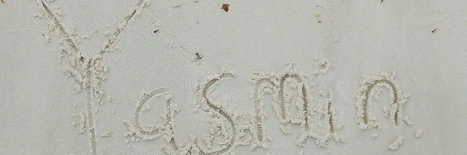 ✨🅂🄰🄻🄸🄼 🄺🄷🄰🄽✨𝕏's banner
