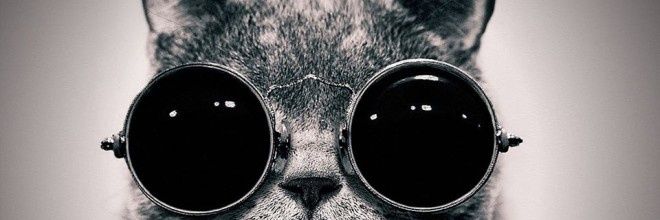 SemraDemirb's profile banner image