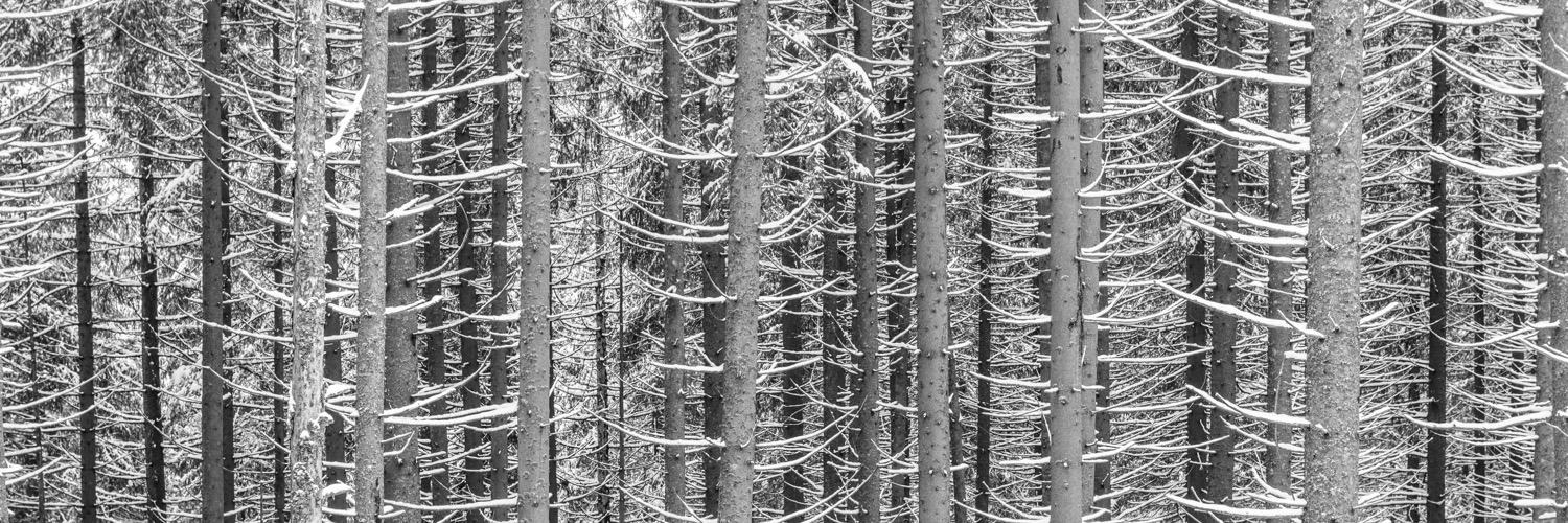 Jeff Baumgart banner