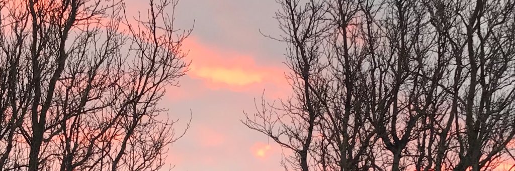CharlotteOlof's profile banner image