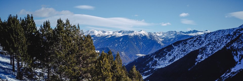 elwell5's profile banner image