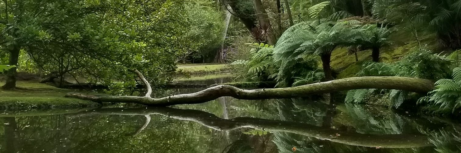 Manuel Azeredo banner