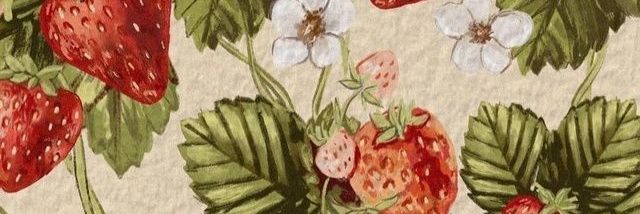 rottenstrwbrry's profile banner image
