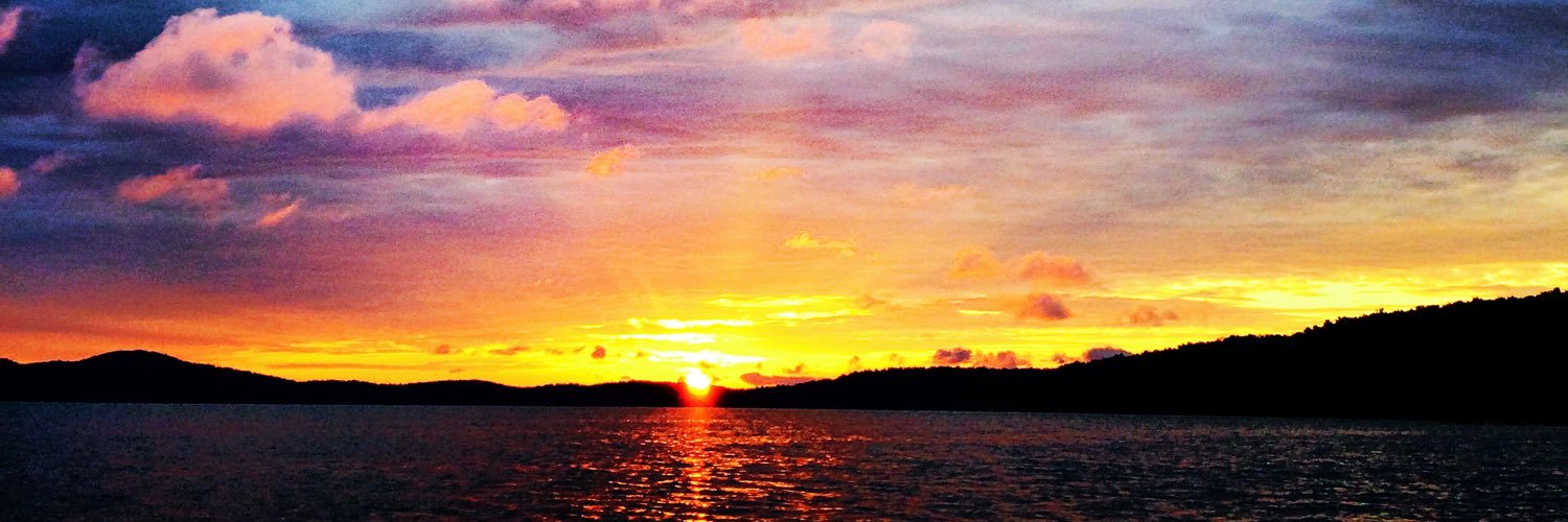 KimGreiner13's profile banner image
