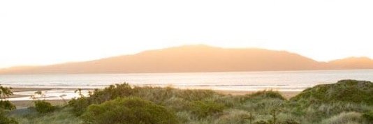 NZShores's profile banner image