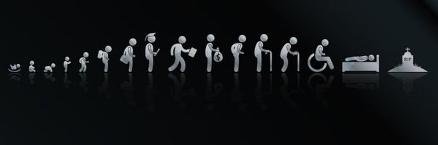 life_of_tutu's profile banner image