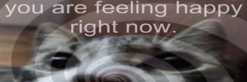 ani•'s banner