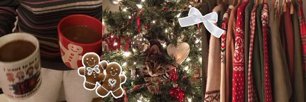 handseu_ Profile Banner