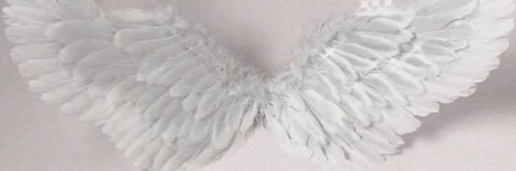 mutilated_jpeg's profile banner image