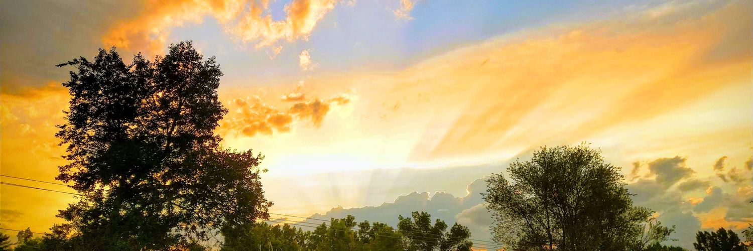 orb 🧭's banner