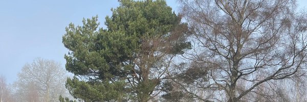 LDSMyear3 Profile Banner
