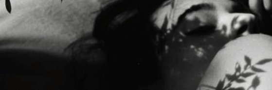 Lexi Vaandril banner