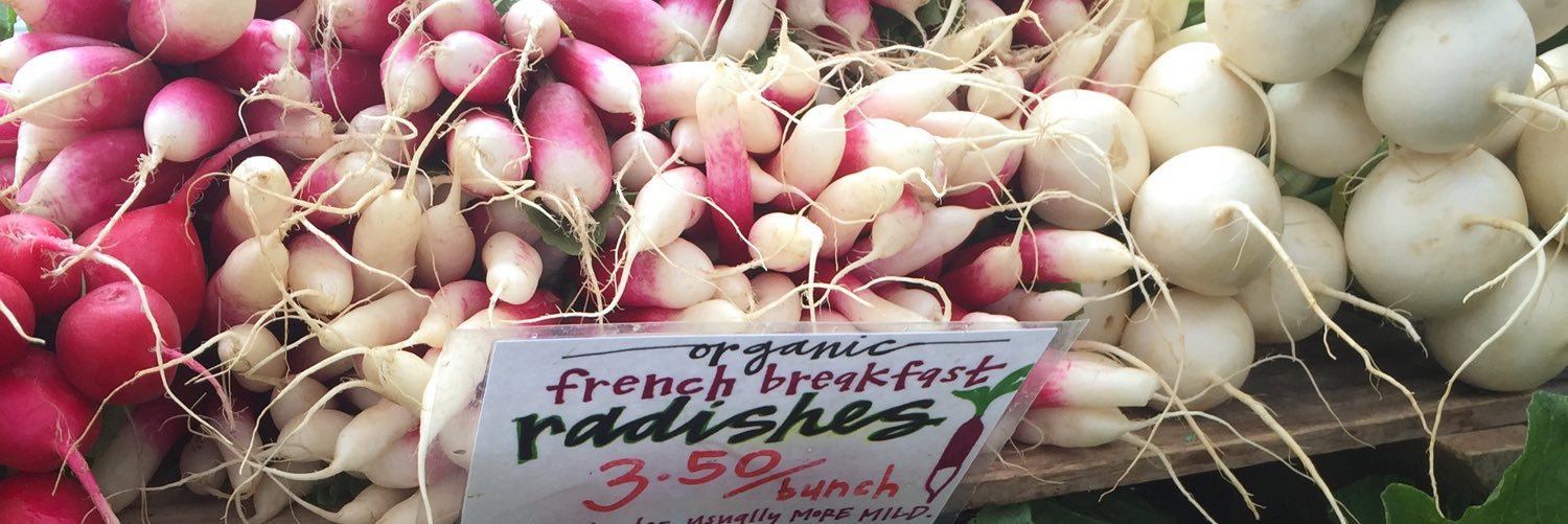 Rosa Ramírez-López banner