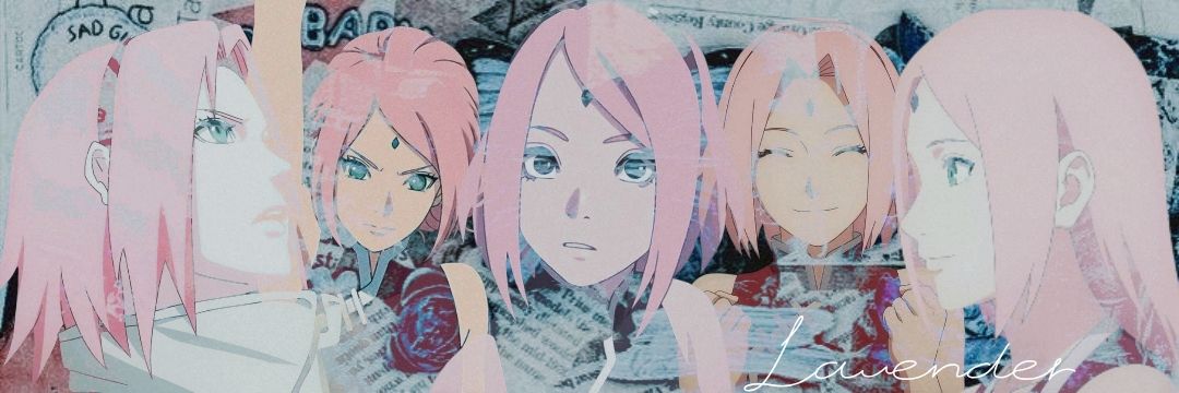 — Rook ᝰ.ᐟ banner