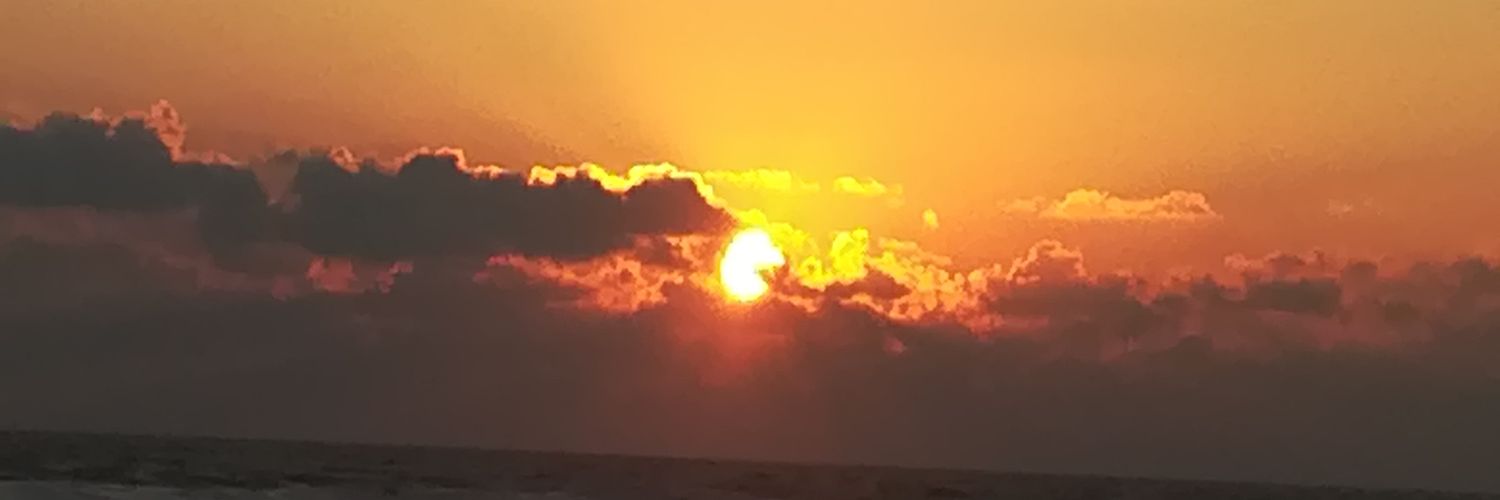 alemoritale's profile banner image