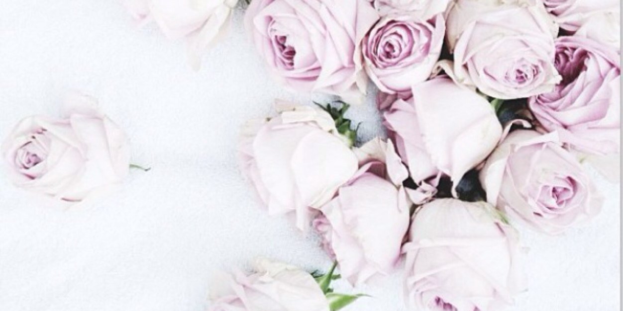 NatashaDaibes's profile banner image
