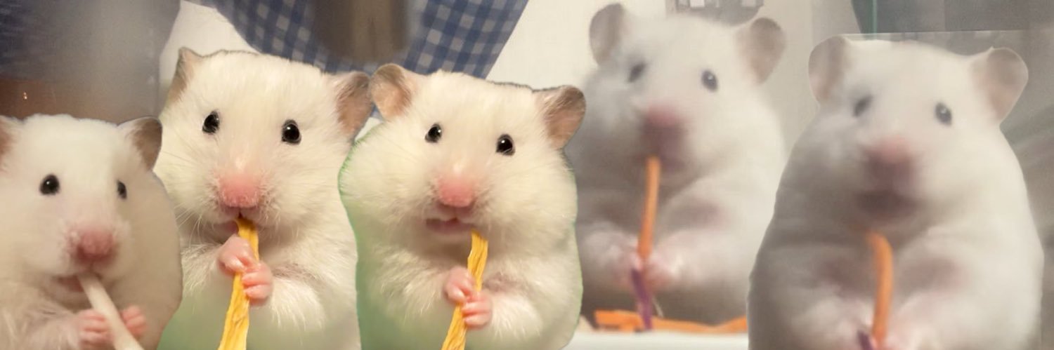ham_7c's profile banner image