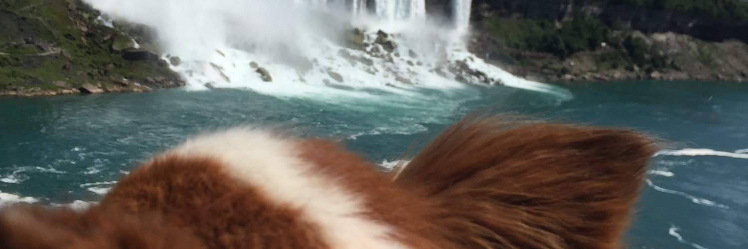 MettyPascal's profile banner image