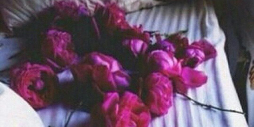 toOle_05's profile banner image