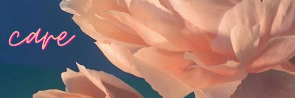 MeeraGhani Profile Banner