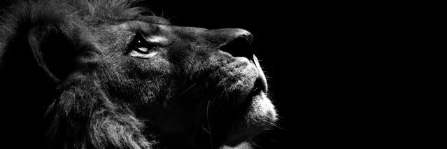 AyItsOmar's profile banner image