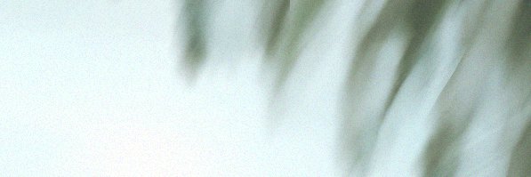 ⬛Hawk banner