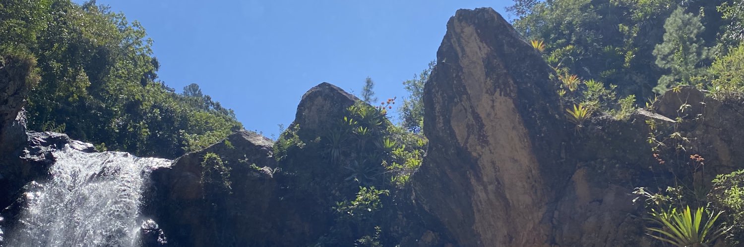 michelleh894's profile banner image