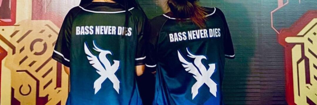 Dubstep Excision banner