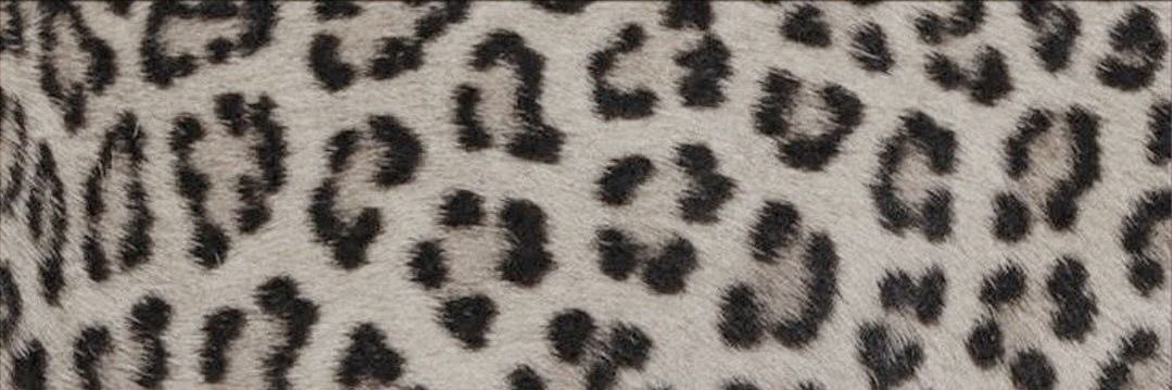 د.جود banner