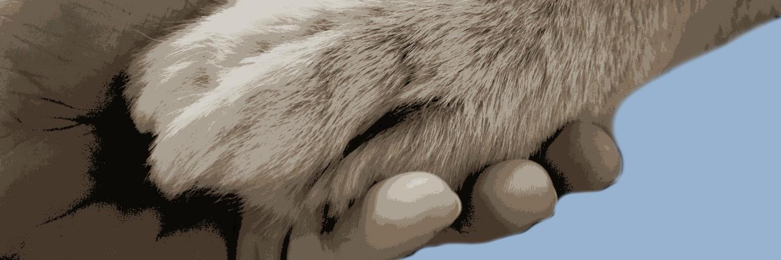 Smith Dog Training banner