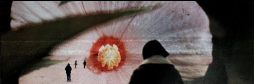 THE EVER BRILLIANT banner