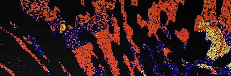 Okyanxe banner