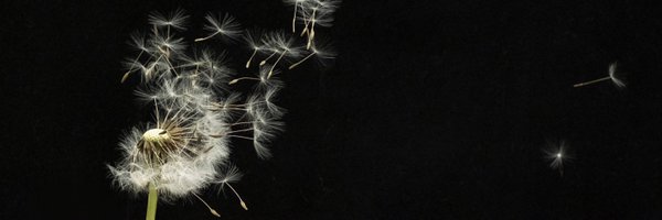 SiButterworth Profile Banner