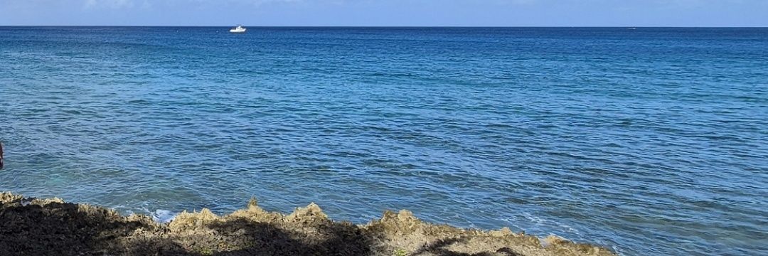 Facundo Galván 🗳 banner