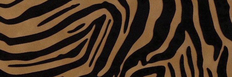 dinsaput's profile banner image