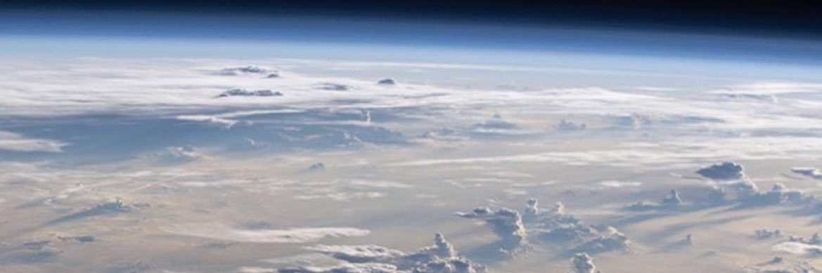 FemaleCryptid's profile banner image