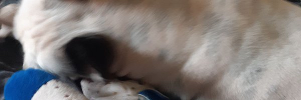 twoboltt Profile Banner