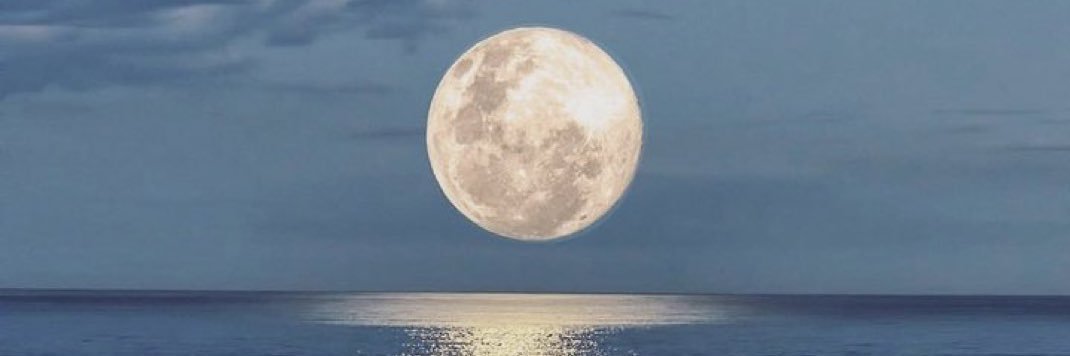 عز عزيز banner