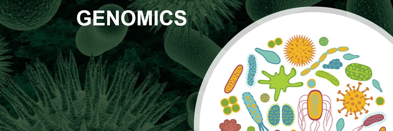 Melinda Ashcroft (PhD) banner