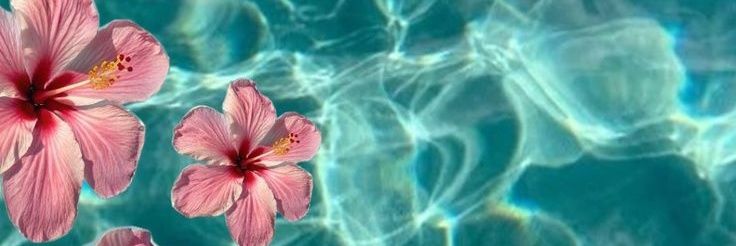 Javeajinn's profile banner image