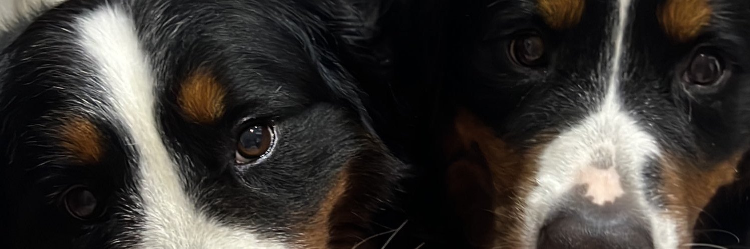 ELogan96953's profile banner image