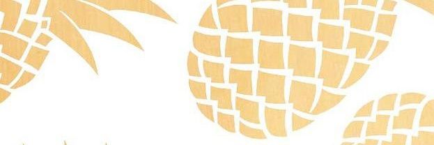 Megan Quinlan banner