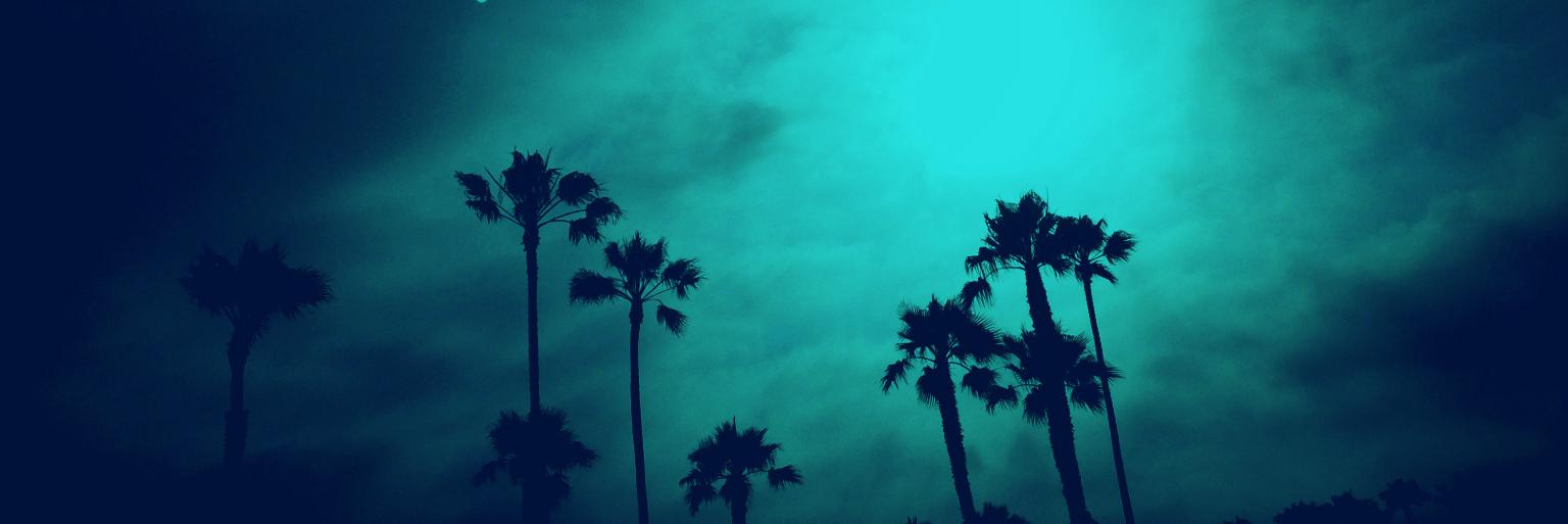 Rodrigo “Ro” (he/him) 🌹✌🏽 banner