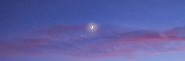 Sharpeisnark Profile Banner