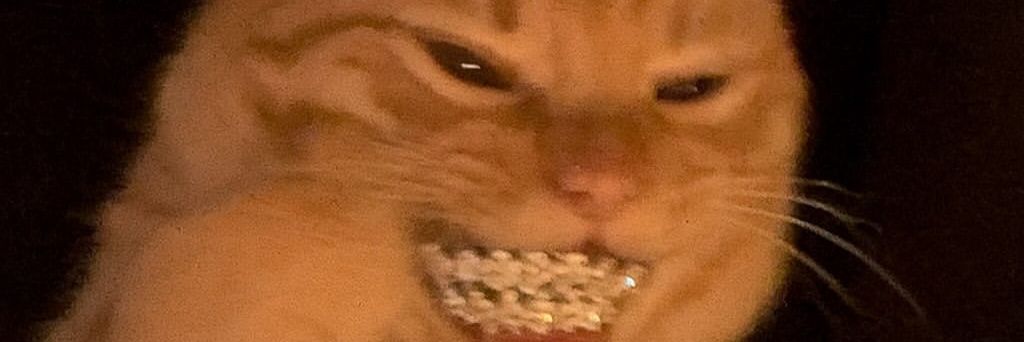 🥷 banner