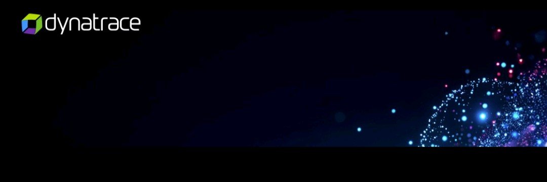 Steve Beards banner